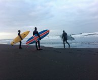 Surf Iceland