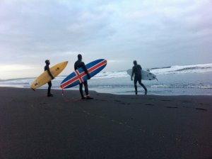 Surf Iceland